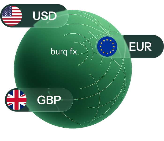 Explore Burq FX